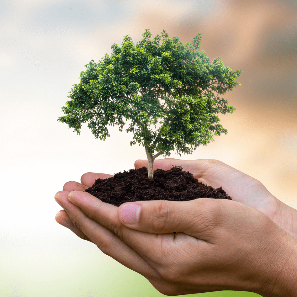 Compartilhe o conhecimento: inspire outras pessoas. - inspiração 1