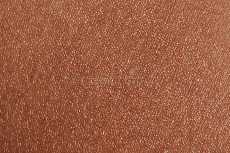 Fatores Internos Que Afetam a Textura da Sua Pele - inspiração 2