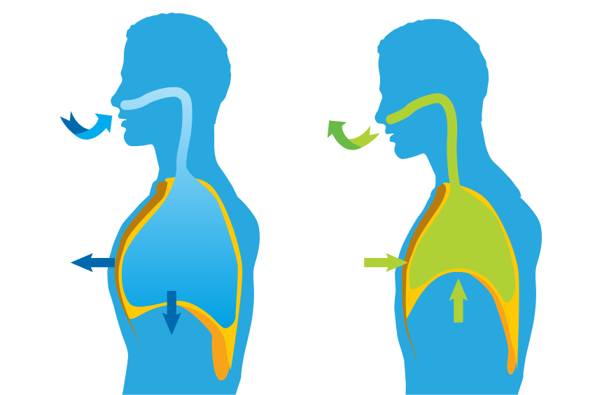 Respiração alternada pelas narinas (Nadi Shodhana): equilíbrio para corpo e mente - inspiração 2