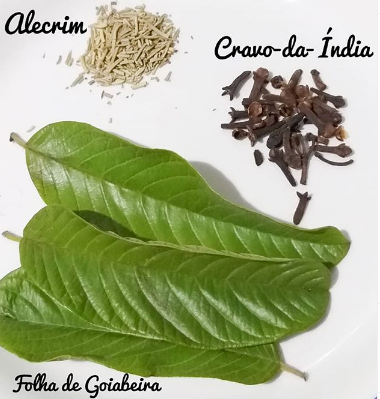 Tônico com Ervas Frescas: Um Toque da Natureza na Sua Rotina - inspiração 2