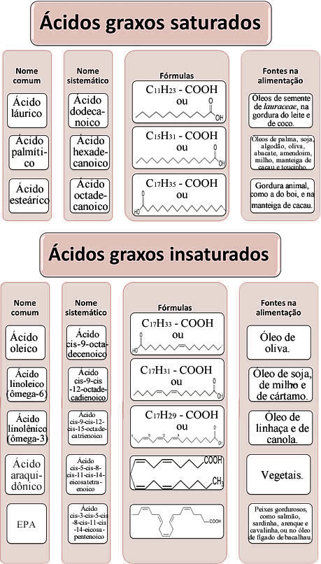 Ômega-3: O Poderoso Aliado do Cérebro e do Coração - inspiração 1