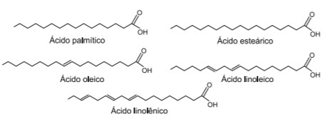 Ácidos Graxos Insaturados: Gorduras Boas que Fazem a Diferença - inspiração 1