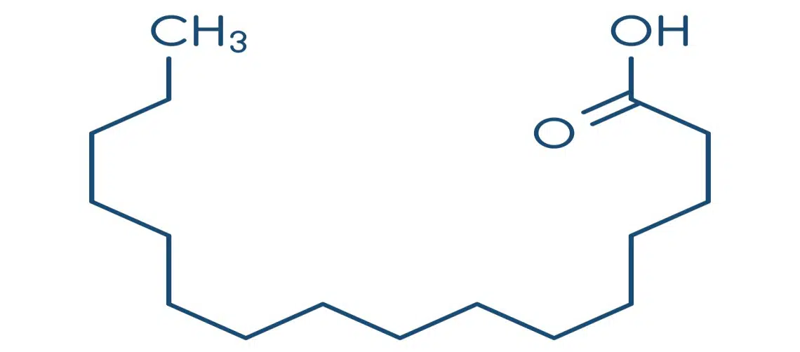 Gorduras Trans: O Que Você Precisa Saber para Evitar - inspiração 2