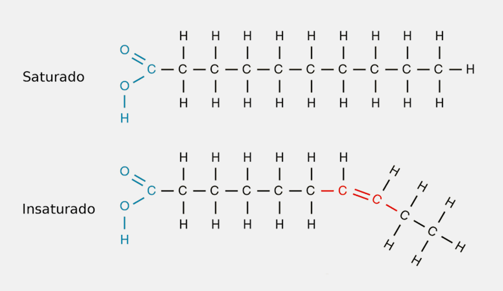 Fontes Alimentares Ricas em Ácidos Graxos Essenciais - inspiração 1