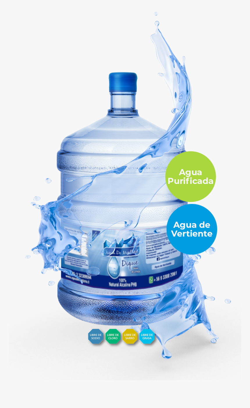 Melhora na Absorção de Nutrientes: Potencialize sua Dieta - inspiração 1