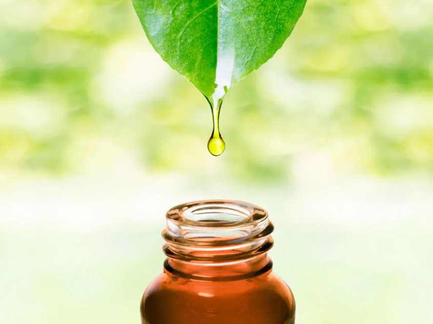 Apoio Emocional e Equilíbrio Interior - inspiração 1