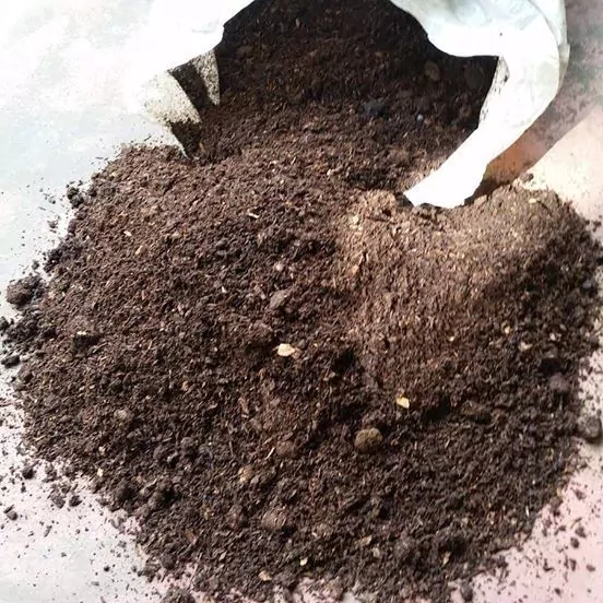 Os Melhores Adubos Orgânicos para Sua Horta