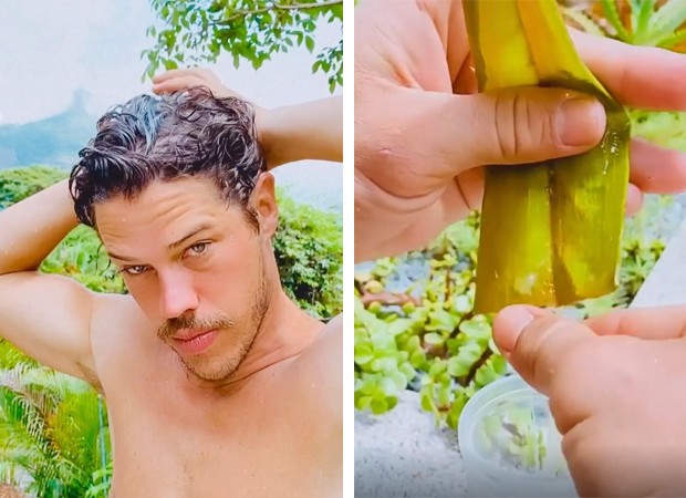 babosa cabelo quebra