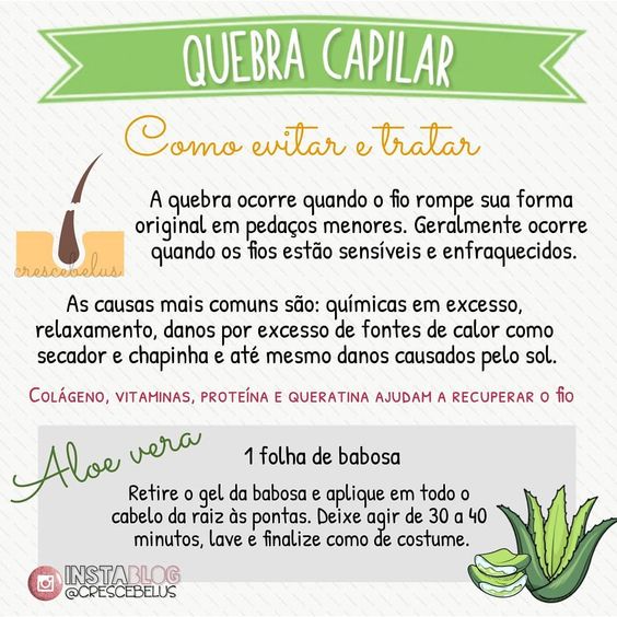 babosa e alecrim cabelo