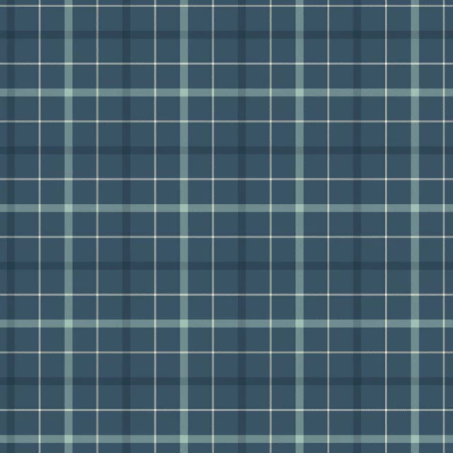 background xadrez junino azul