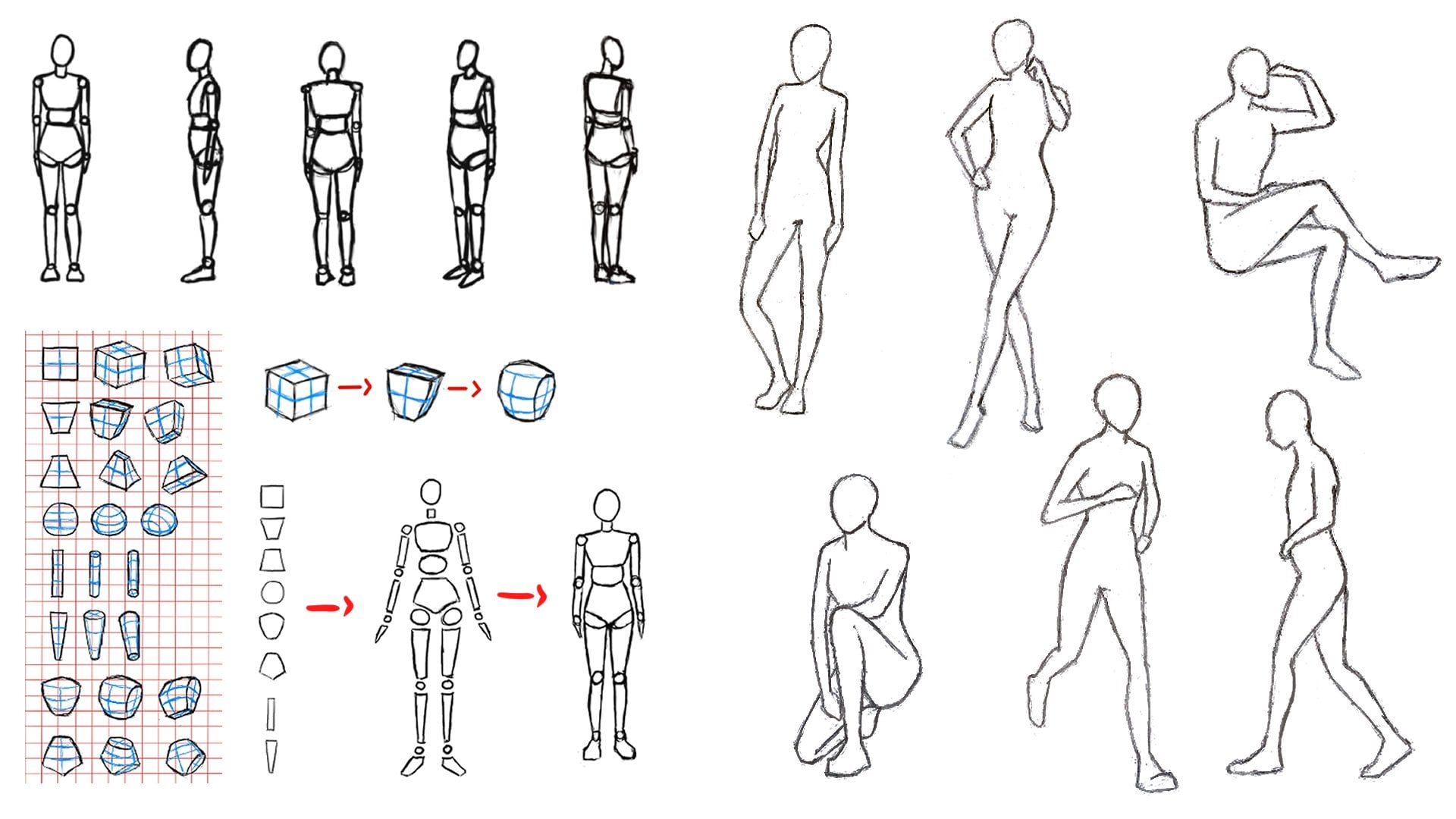 base de desenho feminino