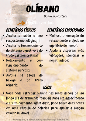 Óleo de Melaleuca: O Poder Antifúngico para Caspa e Candidíase