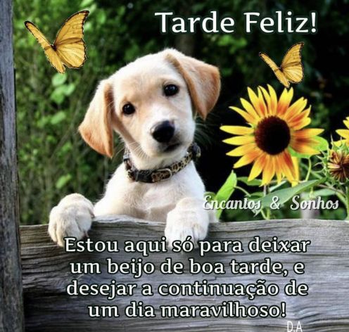 quarta-feira boa tarde