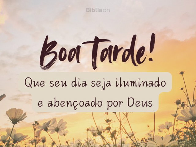 frases boa tarde quarta