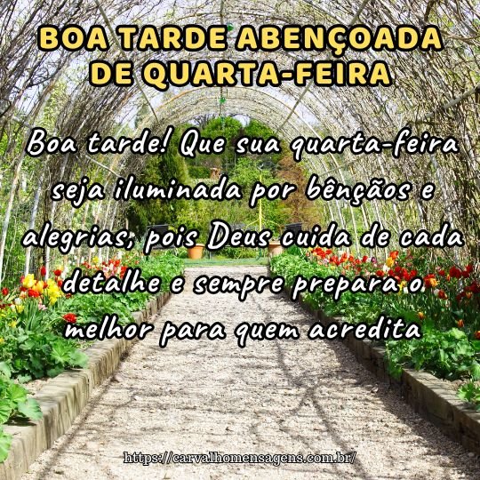 frases boa tarde quarta
