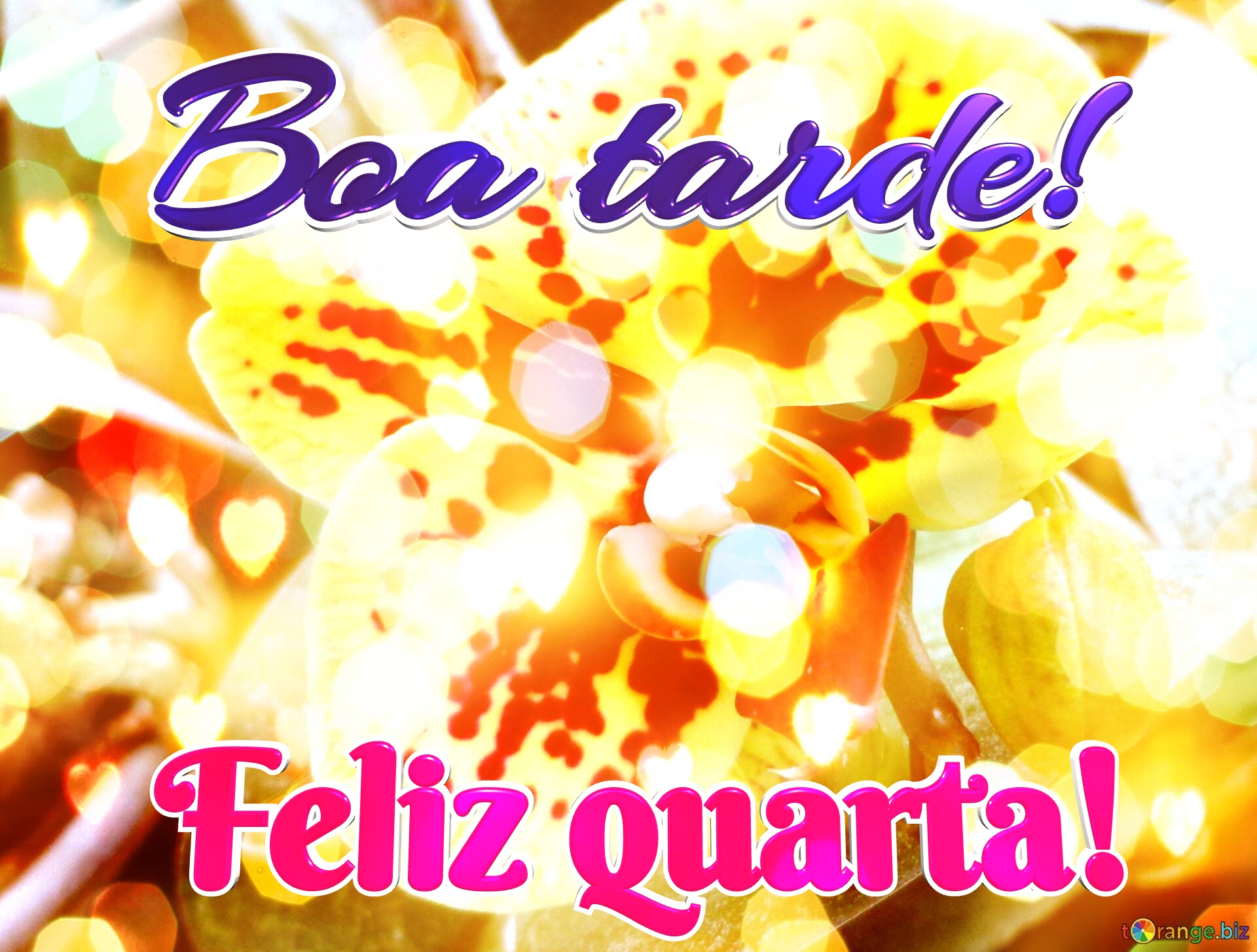 pensamentos para quarta-feira à tarde