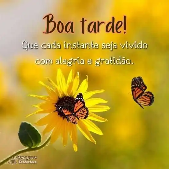 motivação quarta-feira tarde