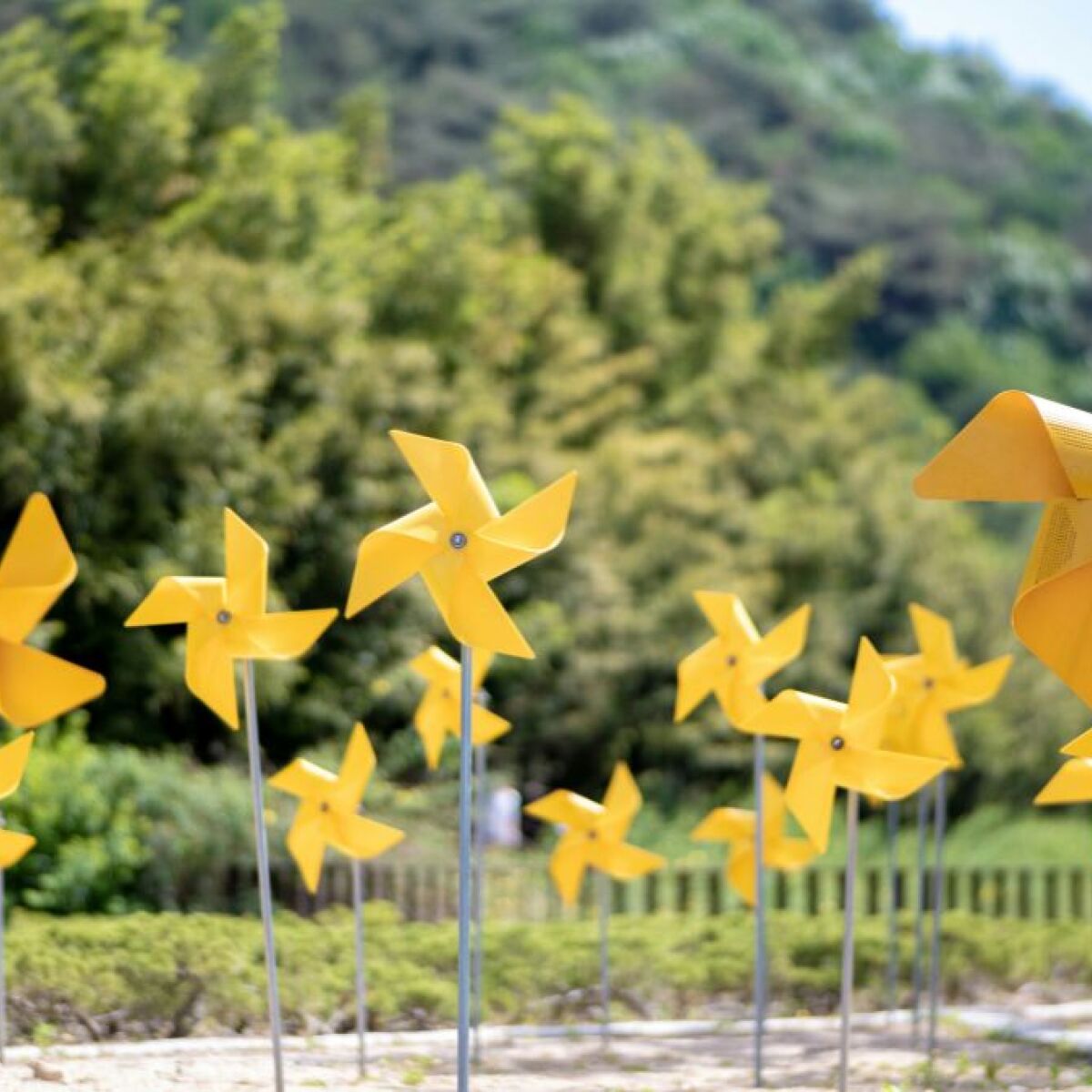 ideias de cata vento para decorar jardim