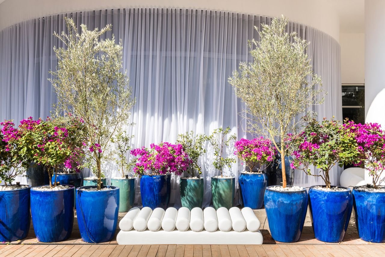 chegada da primavera