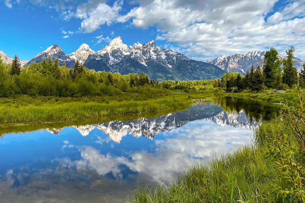 chegada da primavera