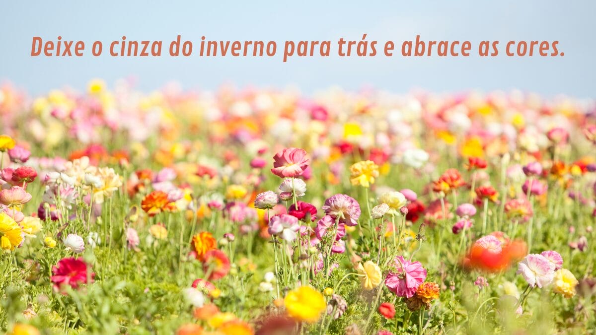 As Principais Características da Primavera no Brasil: Clima e Natureza
