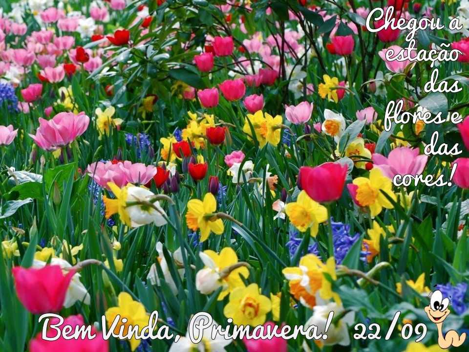 As Principais Características da Primavera no Brasil: Clima e Natureza