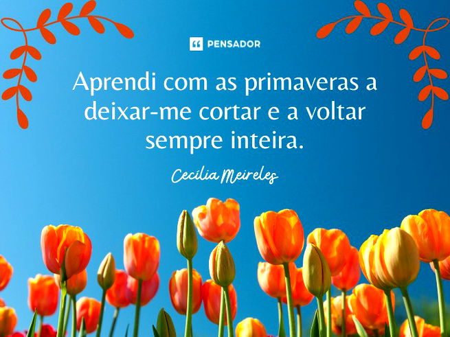 Equinócio de Primavera: O Que Significa e Suas Implicações