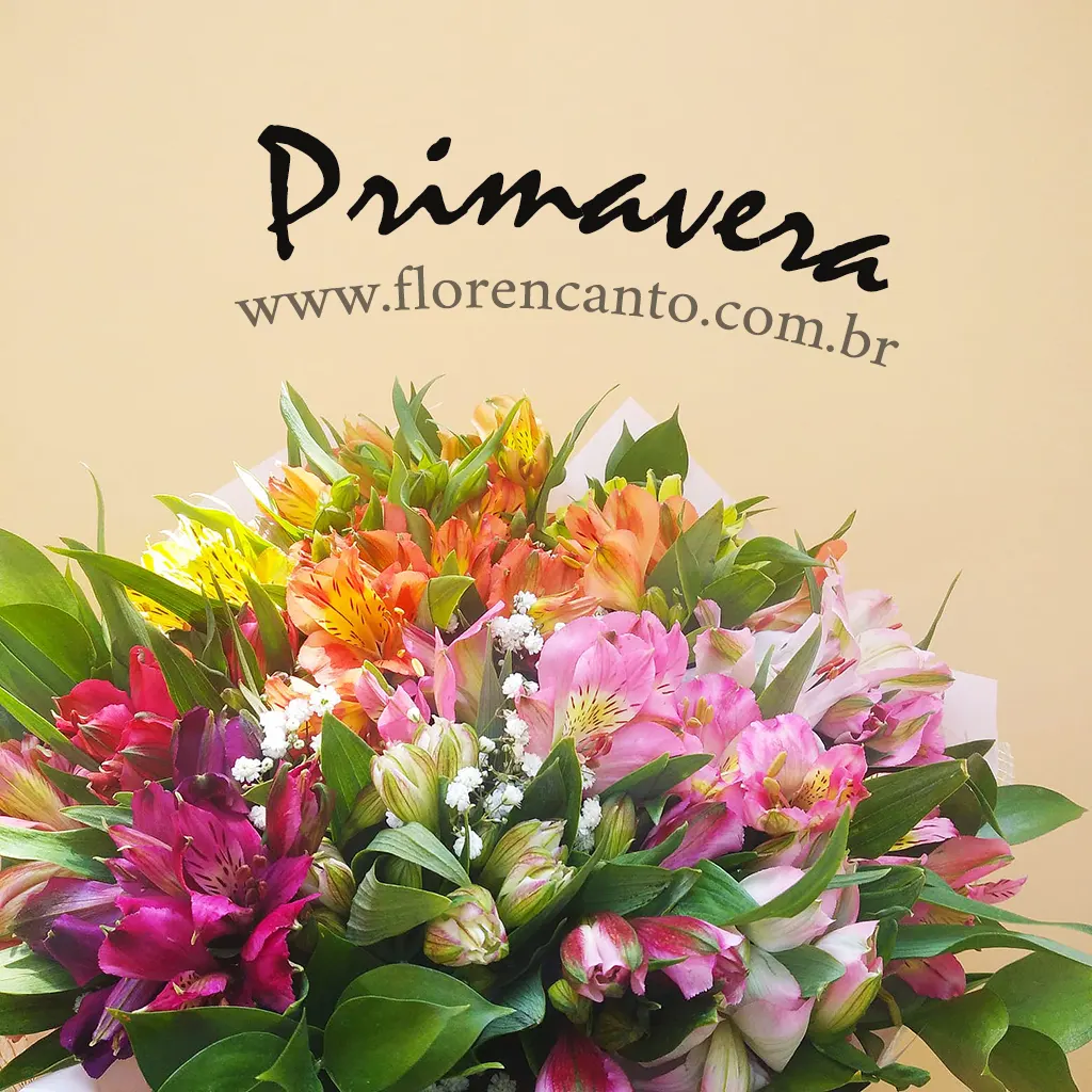 As Principais Características da Primavera no Brasil: Clima e Natureza