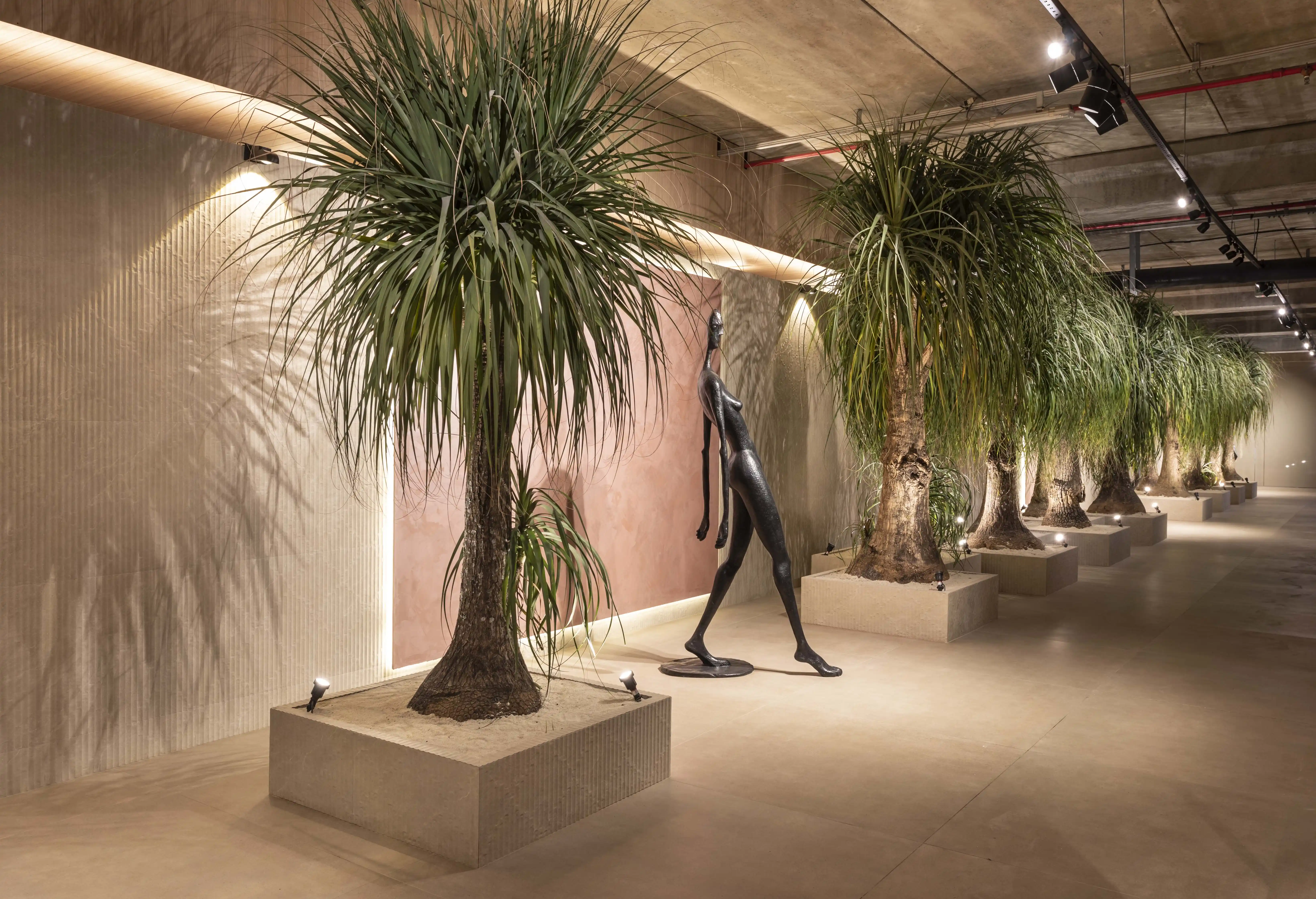 por que minha pata de elefante está morrendo