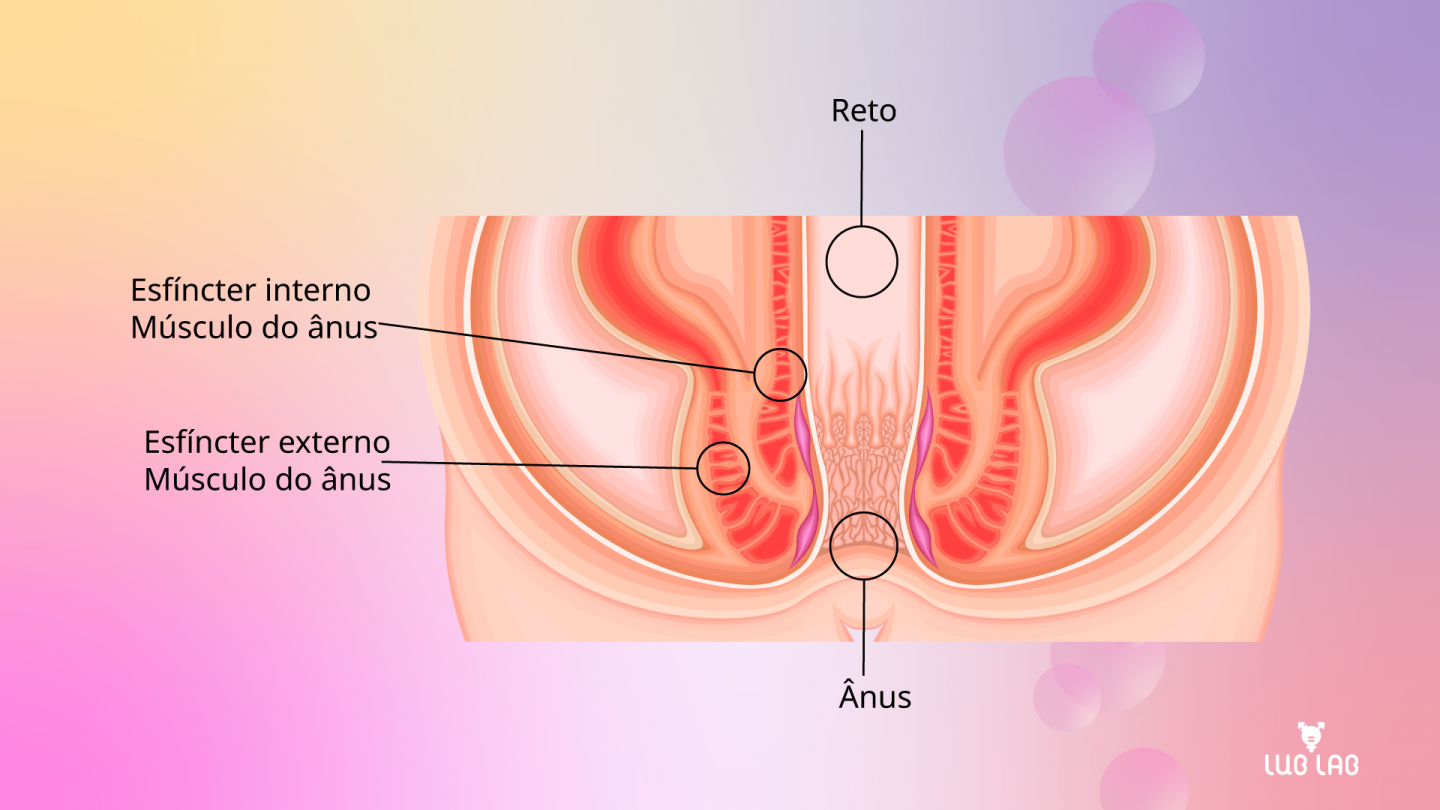lubrificante sexo anal agua ou silicone