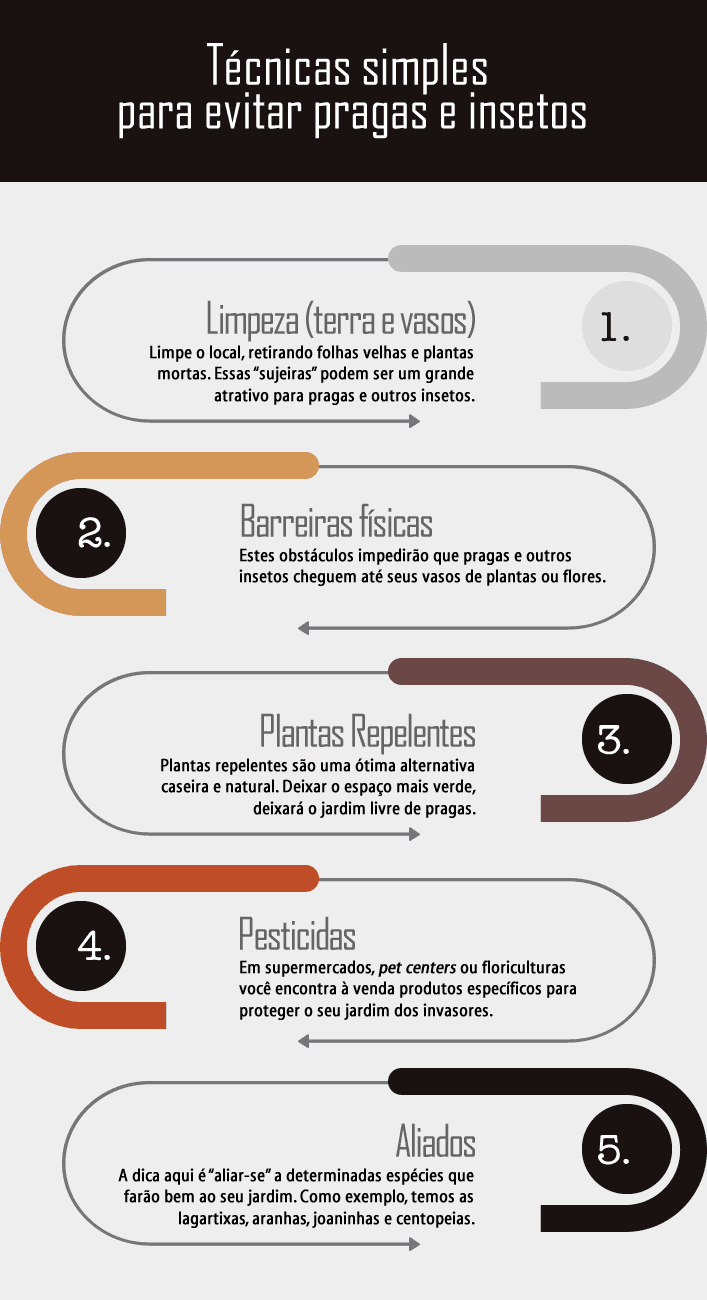 10 receitas caseiras para eliminar pragas de plantas
