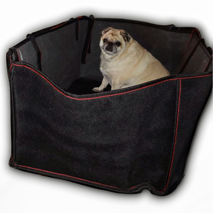 Dicas de segurança para transporte de pets em viagens