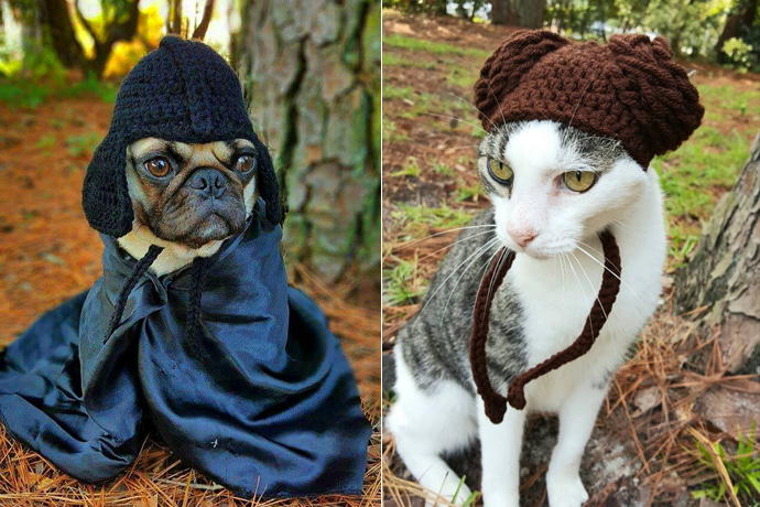 como fazer chapeu para cachorro