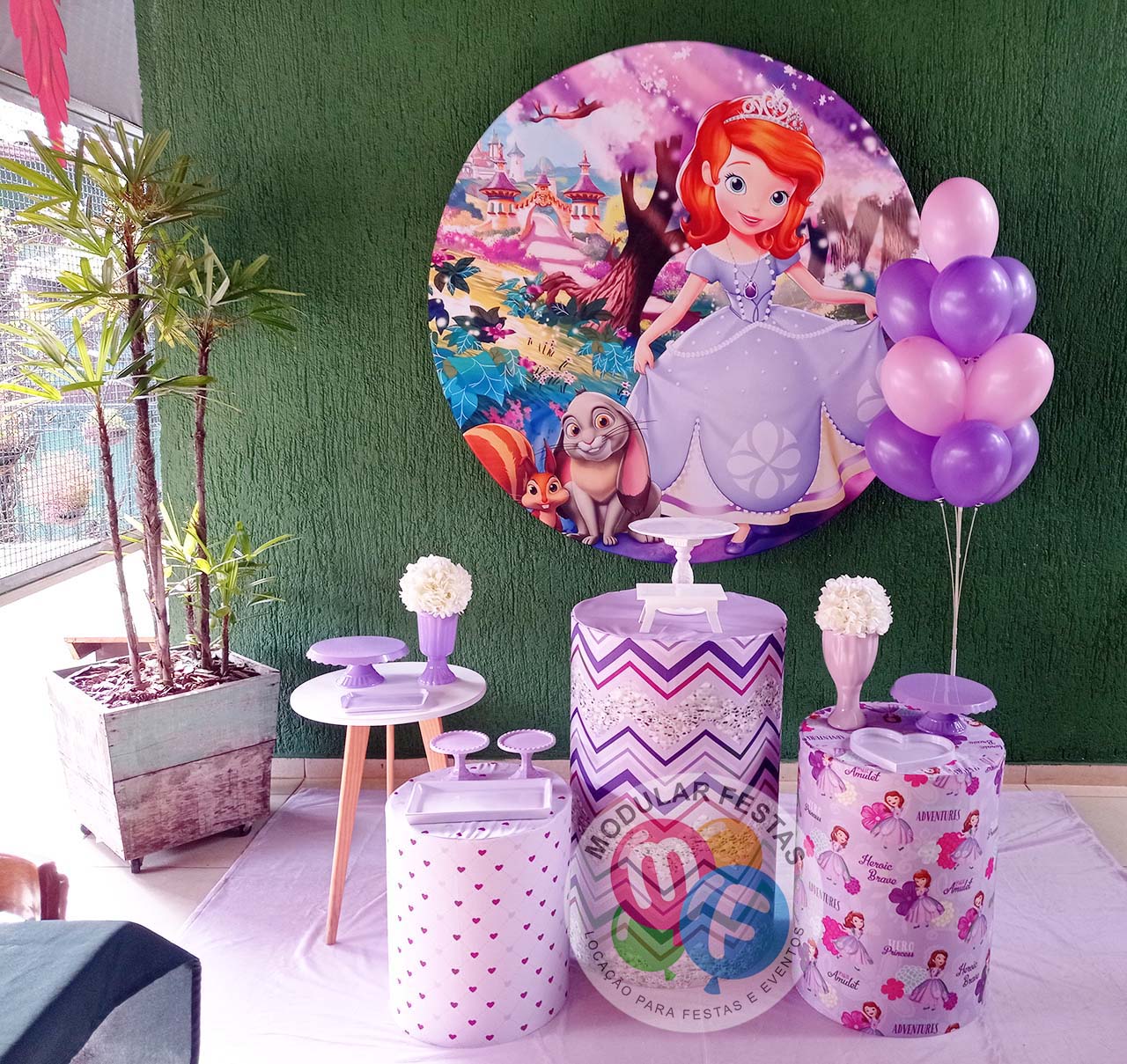 Paleta de Cores da Princesa Sofia: Guia Completo para sua Decoração