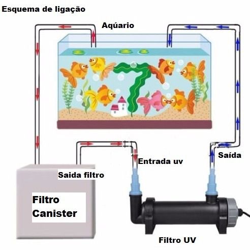 Como escolher a potência ideal do filtro UV para o seu lago