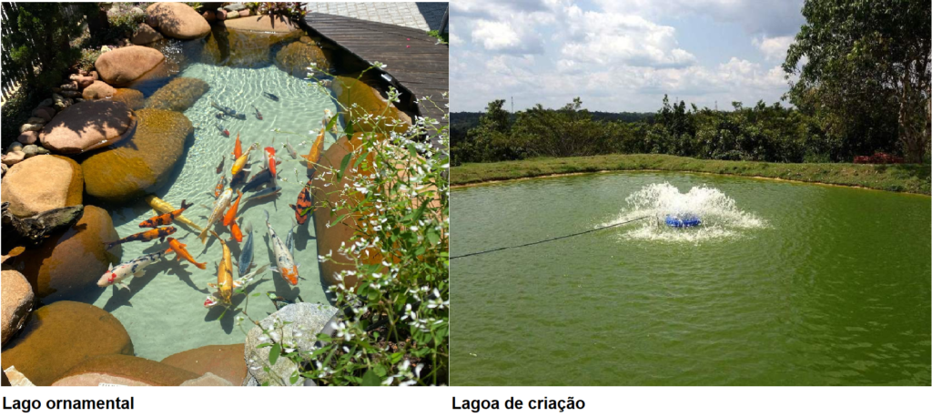 Como escolher a potência ideal do filtro UV para o seu lago