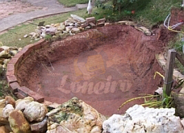 Decoração de lagos: pedras e plantas ideais