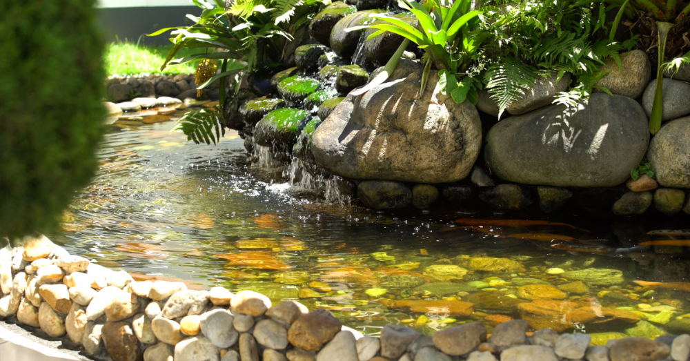 Os 5 melhores sistemas de filtragem para lagos ornamentais