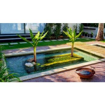 Decoração de lagos: pedras e plantas ideais