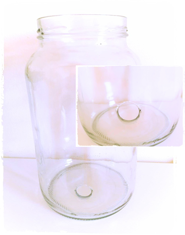 Como Escolher o Pote Ideal para sua Suqueira DIY