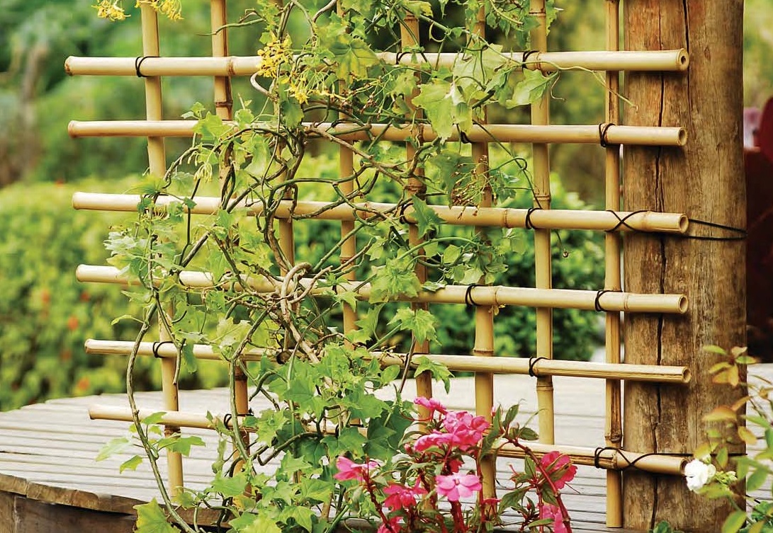 Como criar um jardim vertical com treliças: Dicas e inspirações