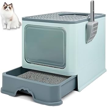 Soluções Criativas para Odores de Banheiro de Gato