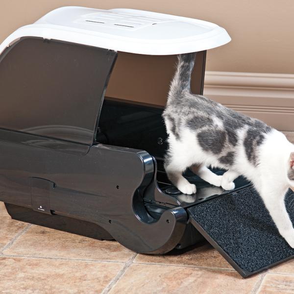 Dicas de Decoração para Integrar o Banheiro do Gato ao Ambiente