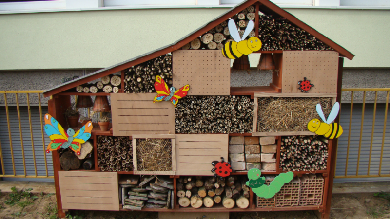 como fazer um hotel de insetos