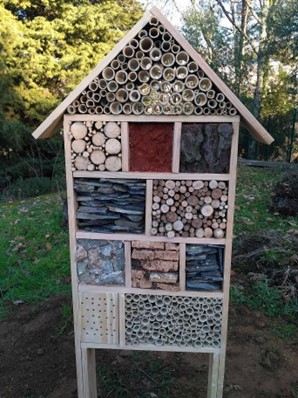 erros comuns ao construir hotel de insetos