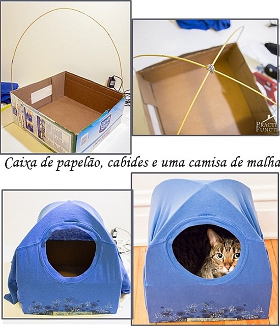 Como higienizar a cama do seu pet corretamente