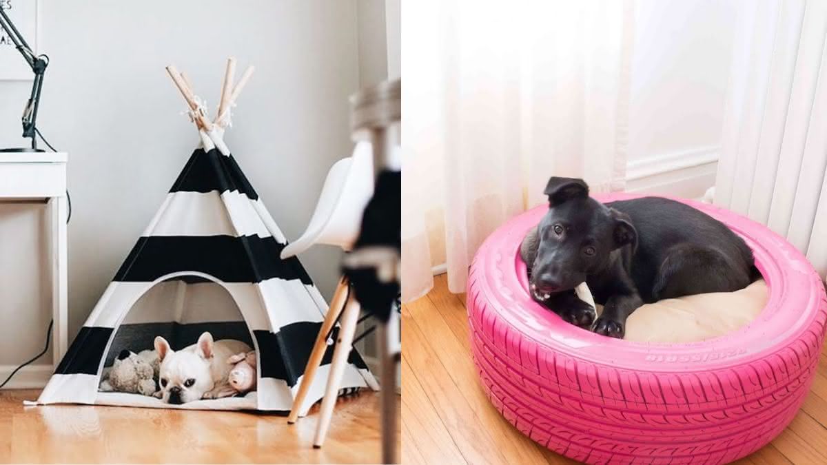 Pneu velho vira cama: sustentabilidade e conforto para seu cão