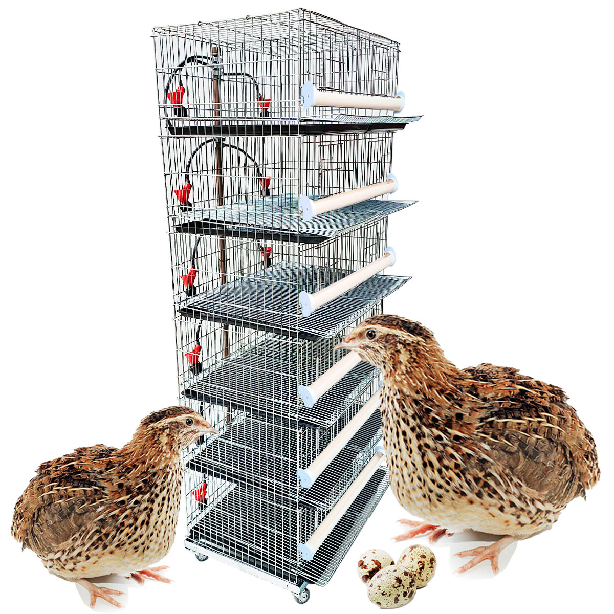 como fazer uma chocadeira para codorna