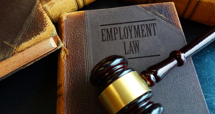 Proteção ao denunciante: direitos e garantias