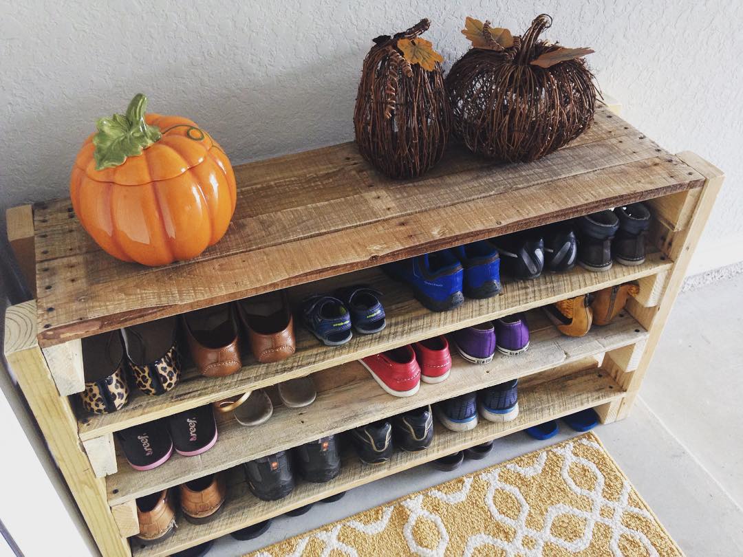 Como Proteger sua Sapateira de Pallet contra Cupins e Umidade